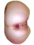 Analgirl 320 x 240 2